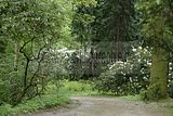 tannenfeld-sommer 2012-003
